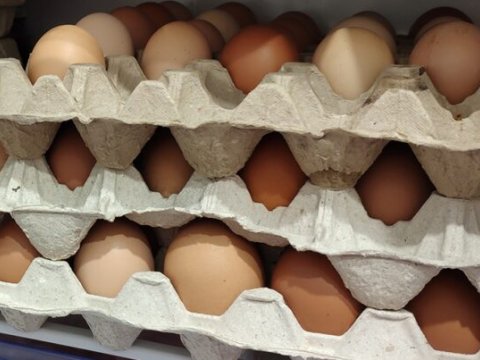 Azərbaycan Rusiyaya 1 milyona yaxın yumurta göndərib