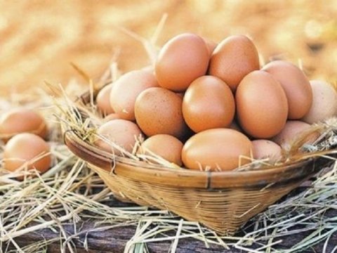 Ölkəmizdə yumurta bahalaşıb? - Rəsmi AÇIQLAMA