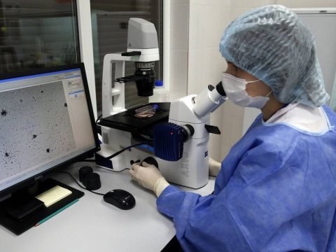 Alimlər immuniteti gücləndirən virus aşkarladılar
