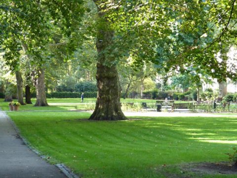 Ağdamda 5 hektarlıq mərkəzi park salınacaq