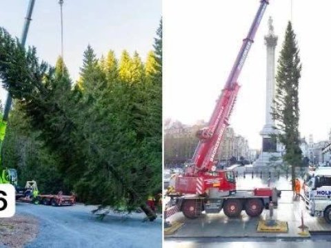 Yeni ilə hazırlaşan Avropa paytaxtlarının 