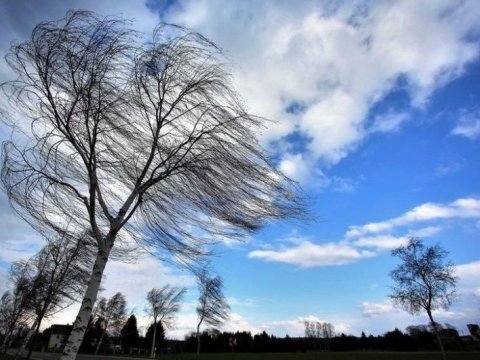 Yaxın 3 gündə güclü külək əsəcək - XƏBƏRDARLIQ
