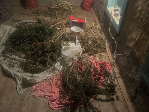 Evindən 4 kiloqram narkotik çıxdı
