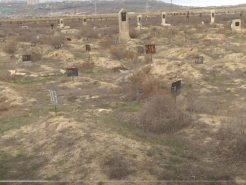 Bakıda dəhşət: heyvanlar məzarların üzərini açdı - VİDEO