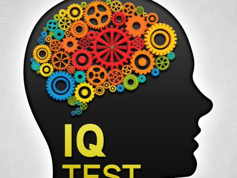 Ermənistan polisinin 40 faizi məntiq testindən kəsilib