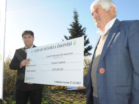 Sığortalı fermerlərə daha 40 min manatlıq ödəniş edilib - FOTOLAR