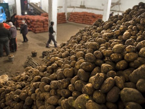 Belarus kosmik tədqiqatlara ayrılan vəsaiti kortofçuluğa xərcləyəcək