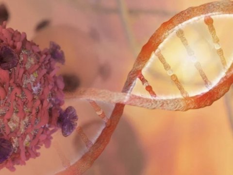 Barmaq izindən xərçəngi aşkarlayan test hazırlandı