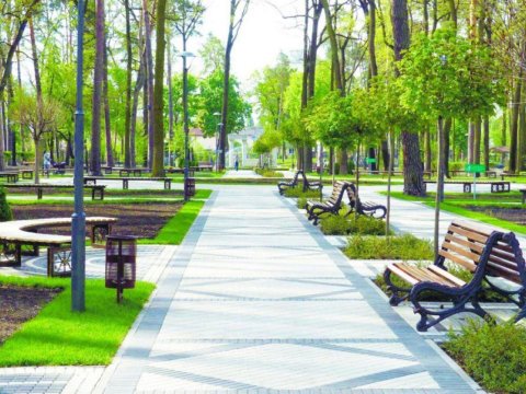 Yeni Nəbatat Parkı yaradılacaq