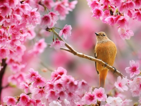 Martda 15 gün iş olmayacaq