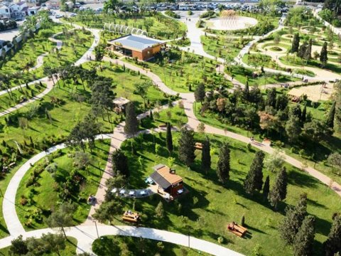 Bakıda adambaşına düşən yaşıllıq 8 m2-ə çatdırılacaq - Baş Plan