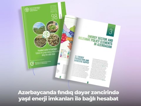 Fındıq dəyər zəncirində yaşıl enerji imkanları ilə bağlı hesabat dərc edilib