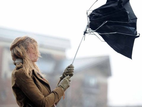Küləkli hava ilə bağlı vətəndaşlara XƏBƏRDARLIQ