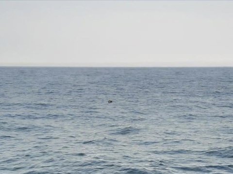 3 ölkə Qara dənizi minadan təmizləyəcək - YENİLƏNİB