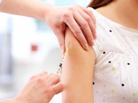 Qızılcanı yüngül keçirmək üçün ən yaxşı yol peyvənddir