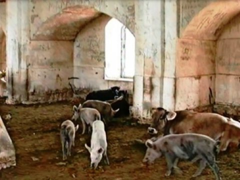 Məscidlərimizdə donuz saxlananda ABŞ buna reaksiya vermədi - Deputat