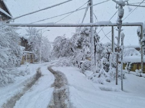 Lənkəranda qarın hündürlüyü 52 sm-ə çatır