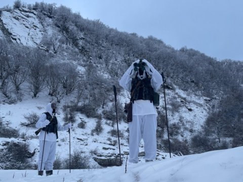 Bəyaz zirvələrin ayıq-sayıq keşikçiləri - FOTOLAR