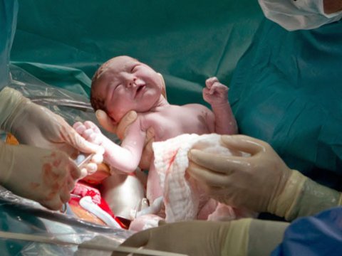 Ana və uşaq ölümləri ilə bağlı görülən işlər qaneedici deyil - Deputat