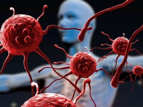 Komitə sədrindən yoluxucu xəstəliklərlə bağlı həyəcan təbili