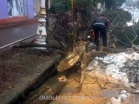 Güclü qar Lənkəranda fəsadlar törətdi - VİDEO