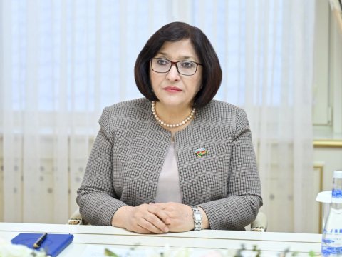 Senatın qətnaməsi ikiüzlülüyün bariz nümunəsidir - SPİKER