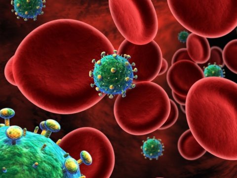 Hepatit A virusu və ondan qorunma yolları