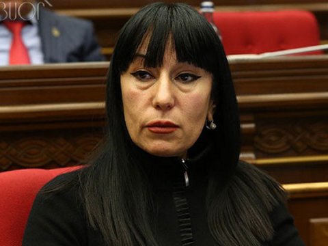 Keçmiş deputat Paşinyana qarşı partiya yaradır