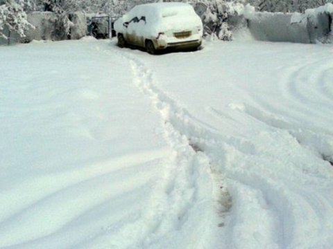 Zaqatalaya yarım metr qar yağıb - FAKTİKİ HAVA