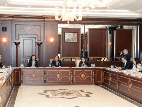 Bu qanun layihələri plenar iclasa tövsiyə edildi