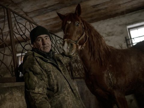 Başsız qalan atlar... - FOTO