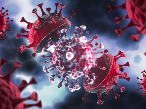 Hazırda Azərbaycanda yayılan qripəbənzər virus qorxuludurmu...