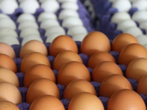 Azərbaycan Rusiyaya 612 min yumurta göndərdi