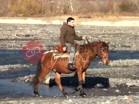 Hər gün at belində dərsə gedib-gələn FƏDAKAR MÜƏLLİM - FOTOLAR 