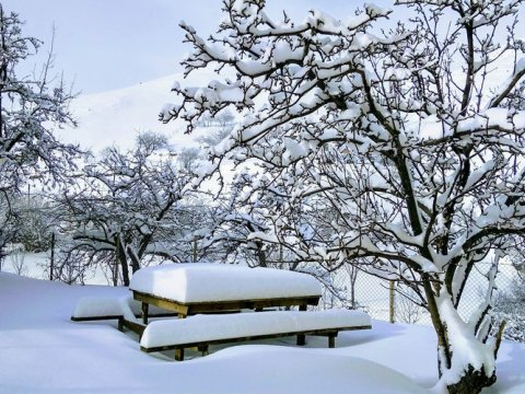 Laçına yarım metr qar yağıb - FAKTİKİ HAVA