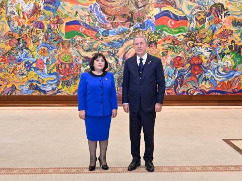 Sahibə Qafarova Hulusi Akarla nələri müzakirə etdi... - FOTO