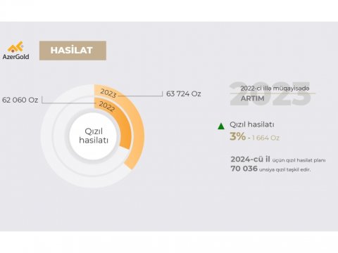 “AzerGold” ötən il hasilatı artırıb