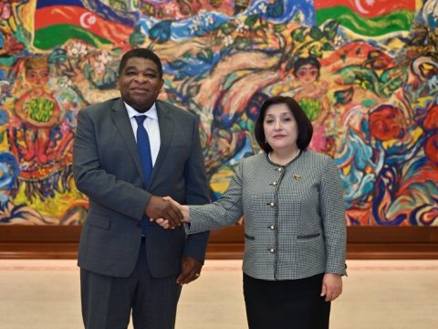 Sahibə Qafarova Baş katiblə görüşdü 