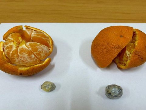 Təcridxanaya mandarinin içində narkotik keçirmək istədi