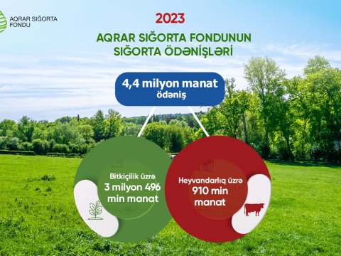 Ötən il sığortalı təsərrüfatlara rekord məbləğdə ödəniş edilib