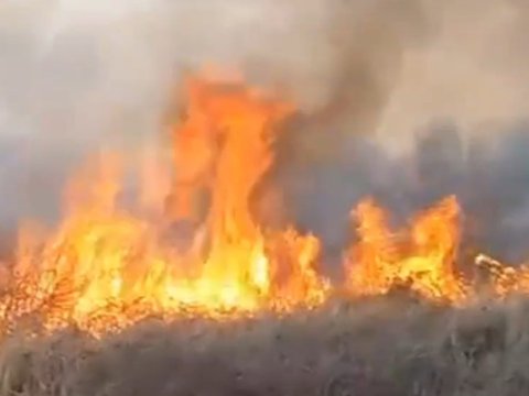 Tərtərin Mamırlı kəndində yanğın - VİDEO