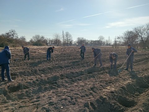 Meşə fondu torpaqlarında ağac əkininə start verildi - FOTO