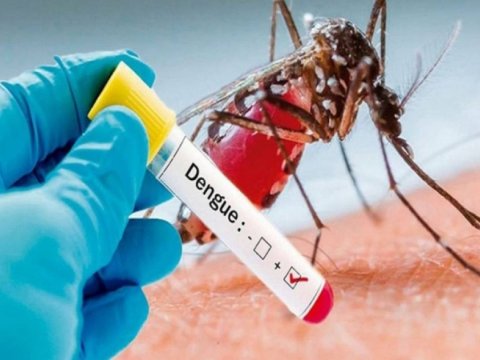 Braziliyada fövqəladə vəziyyət elan edilib - SƏBƏB