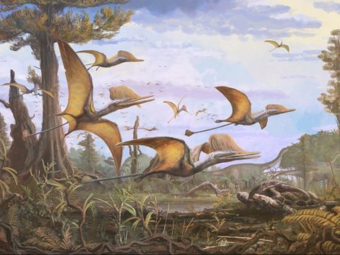 170 milyon il əvvəl yaşamış pterozavr növü aşkarlandı
