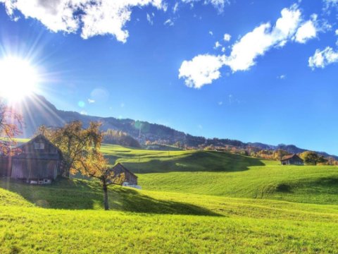 Sabah 22 dərəcə isti olacaq