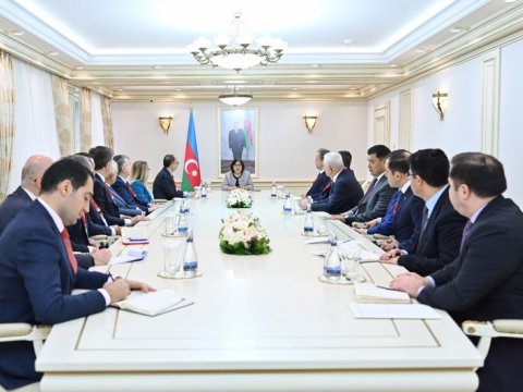 Sahibə Qafarova türkiyəli deputatlarla görüşüb - FOTO