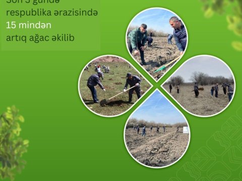 Respublika ərazisində 3 gündə 15 mindən çox ağac əkilib