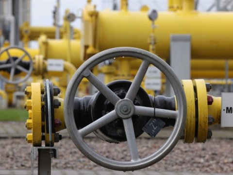 Dünya bazarında qazın qiyməti sabitləşib