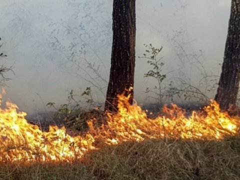 Zəngilanda yanğın - VİDEO