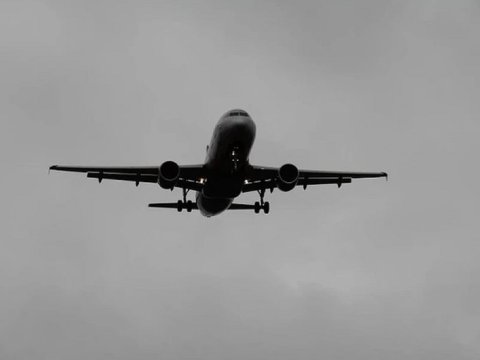 Aviasiya haqqında Qanun təsdiqləndi